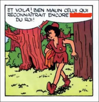 Si l'on a vu Pirlouit en "fou du roi", quelle est la fonction de Johan ?