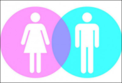 Le mot "astérisque" est-il masculin ou féminin ?