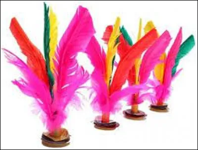 Sport : À quelle combinaison de sports s'apparente le Đá cầu, sport national du Vietnam ?