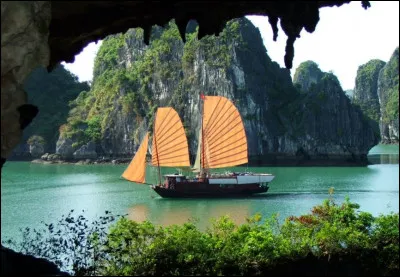 Art : Lequel de ces films ne traite pas de la guerre du Vietnam ?