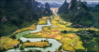 Histoire : Quel pays a dominé le Vietnam pendant plus d'un millénaire ?