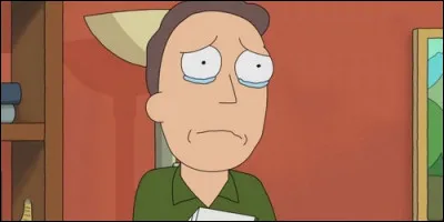 Quel est le caractère de Jerry, le père de Morty ?