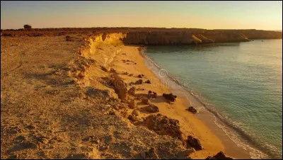 Personnalité : Lequel de ces humoristes, franco-iranien, est né à Téhéran ?