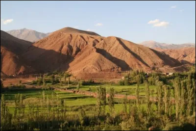 Culture : Comment étaient appelés les souverains d'Iran ?