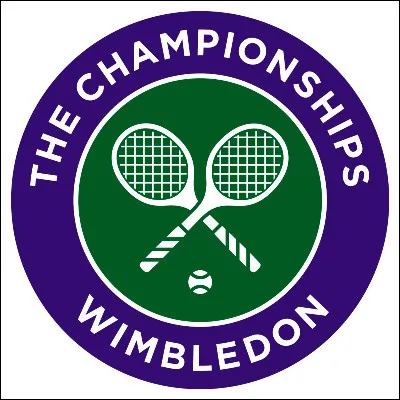 En remportant Wimbledon en 1985, quel joueur devenait le plus jeune joueur &agrave; remporter un tournoi du Grand Chelem ?