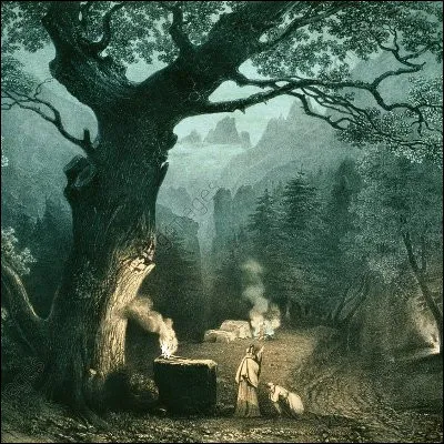 Quelle for&ecirc;t est l&eacute;gendairement li&eacute;e au culte druidique jusque dans les albums d�Ast&eacute;rix ?