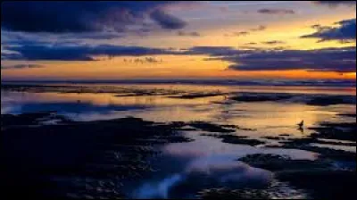 En quelle année sortit le film "Boulevard du crépuscule" réalisé par Billy Wilder ?