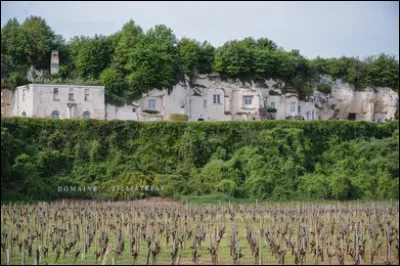Ce site est creusé dans la falaise en tuffeau, pierre assez connue pour les châteaux. Où est-ce ?