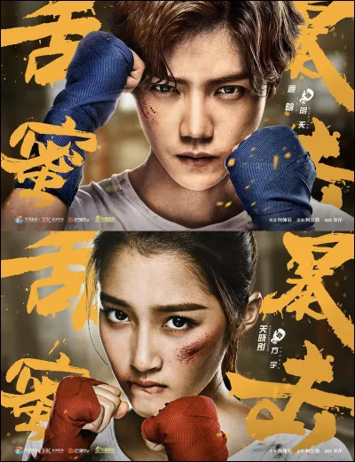 Veux-tu de la bagarre ?