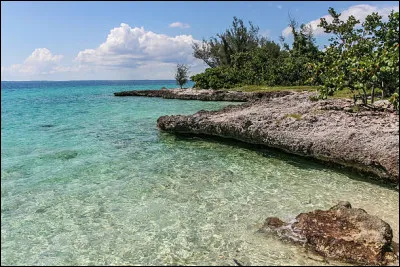 Histoire : Quels animaux ont donné leur nom à la baie cubaine qui a été le théâtre d'une période extrêmement tendue pendant la guerre froide ?