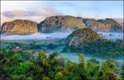 Arts : Laquelle de ces danses n'est pas originaire de Cuba ?