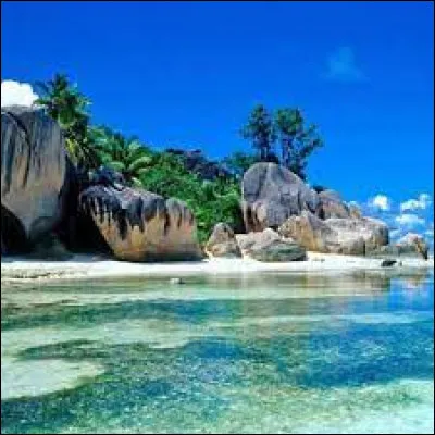 Sport : Quel sport est considéré comme le sport national à Cuba ?