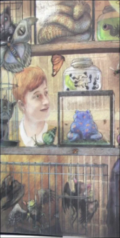 Pour qui Ron se fait-il passer lorsque les trois amis se font capturer par Greyback, Scabior et compagnie dans le tome 7 ?