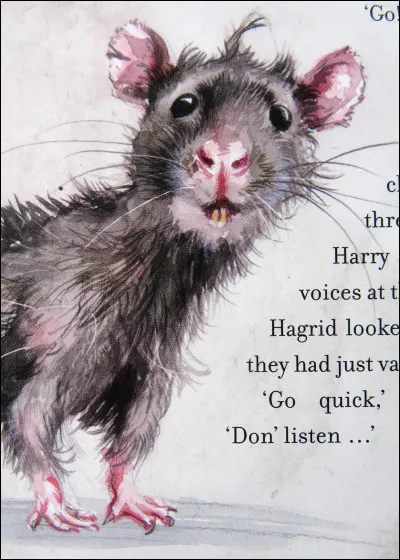 Quelle était la première raison pour laquelle Ron n'aimait pas le chat d'Hermione ?