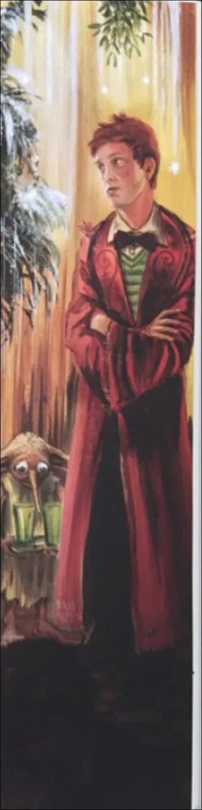 Avec qui Ron voulait-il aller au bal de Noël ?