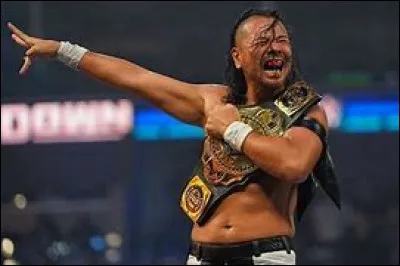 Catch : À la WWE qui est l'actuel champion intercontinental ?