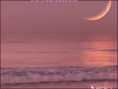 Combien de vidéos as-tu faites ?