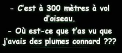 Animaux / record : 
Quel oiseau détient le record du vol le plus long enregistré avec 96 000 km parcourus ?