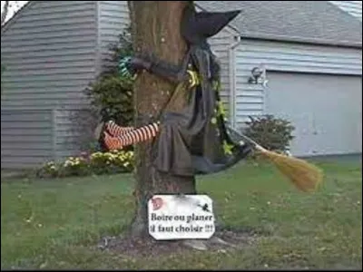 Langue étrangère : 
Comment dit-on "planer" en espagnol ?