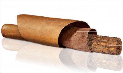 Quel est le nom de la feuille qui entoure un cigare ?