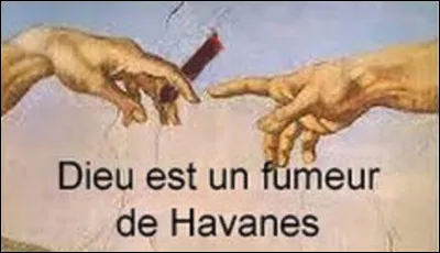Quel chanteur est l'auteur-compositeur du titre ''Dieu est un fumeur de havanes''