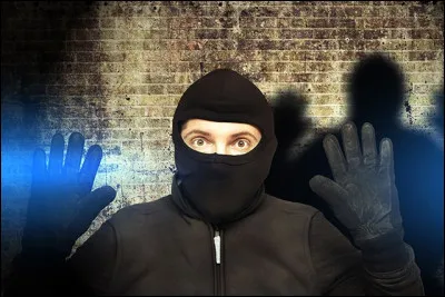 Tu vois des voleurs cambrioler une banque, que fais-tu ?