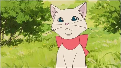 Quelle pâtisserie préfères-tu ?