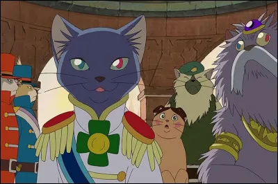 Quel élément préfères-tu ?