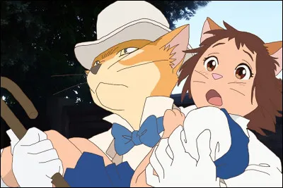 Est-ce que tu aimerais vivre dans le Royaume des chats ?