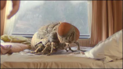 De quel film vient cette image ?