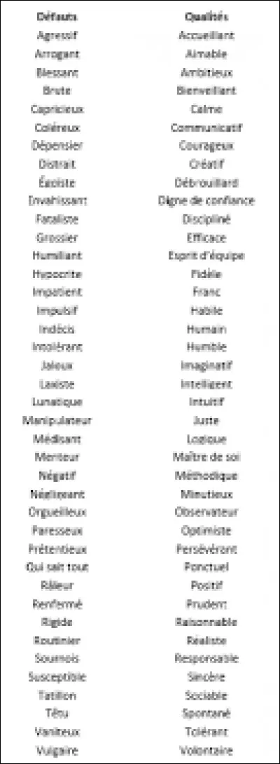 Quelle est ta principale qualité ?