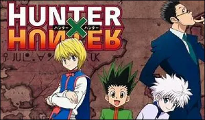 Quel est le personnage de ''Hunter × Hunter'' que tu préfères ?