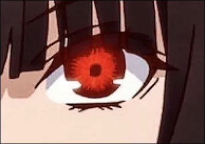 À qui appartient cet il ?