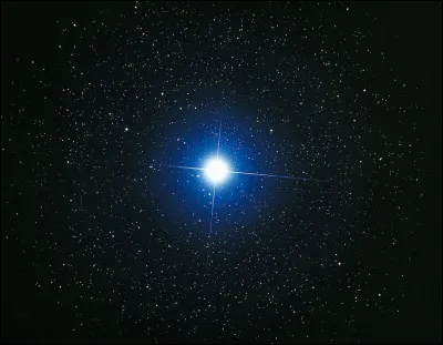 La constellation du Grand Chien est l'une des plus anciennes et elle contient un grand nombre d'étoiles dont la plus brillante de la voûte céleste est :