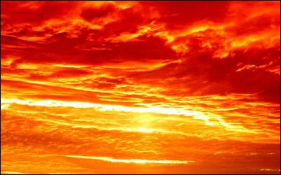 Quel est ton animal fantastique préféré ?