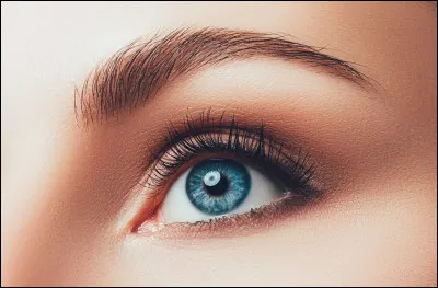 Quelle est la couleur de tes yeux ?