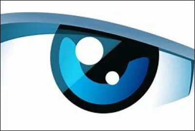 Cette entreprise de voitures a été créée par une entreprise familiale nommée ''Renault frères''.