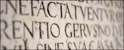 Mon nom latin est ''vulpes'' :