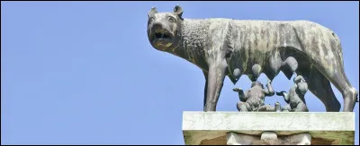 Selon la légende, j'ai allaité Romulus et Remus :
