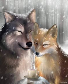 Quiz Renards