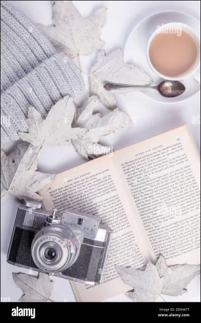 Quel outfit préfères-tu ? #1