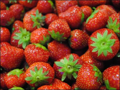 Le lièvre de Patagonie porte également le nom de...