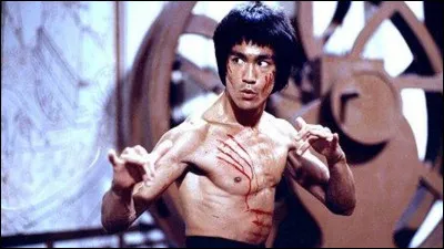 Et quel personnage est-il basé sur Bruce Lee ?