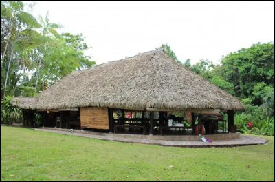 Quel est le nom de cette vaste case, modèle d'habitation collective aux Antilles ?