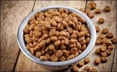 Cet animal se nourrit de croquettes.