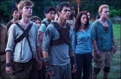 Quel personnage se fait tuer à la toute fin du film "Le Labyrinthe" ?