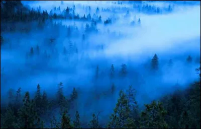 Où se cache l'intrus ?