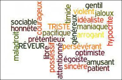 Quel est ton plus grand défaut ?