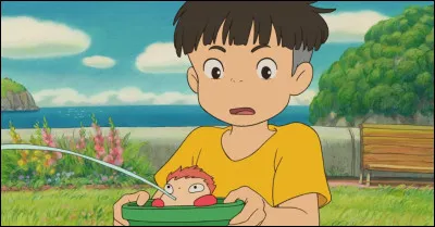 Quelle maison de ''Harry Potter'' préfères-tu ?