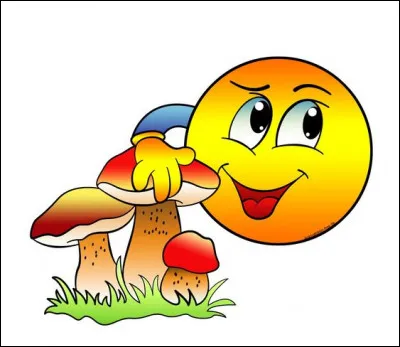 Rendez-vous à la campagne ou en moyenne montagne ! Que trouve-t-on sous le chapeau d'un bolet ?